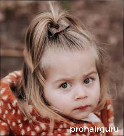 Enchanting Baby Princess Hairstyles