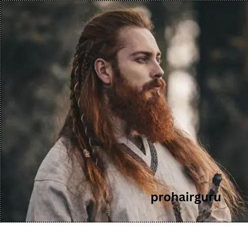 Viking Hairstyles for Men