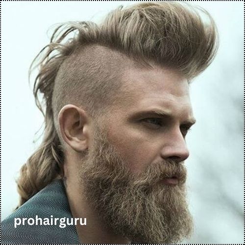 Viking Hairstyles for Men