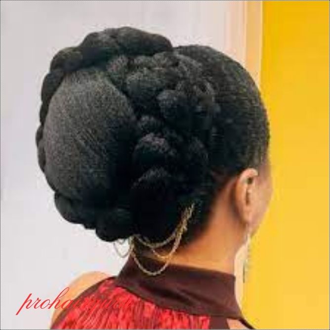 Natural Hair Updos Black Beauty