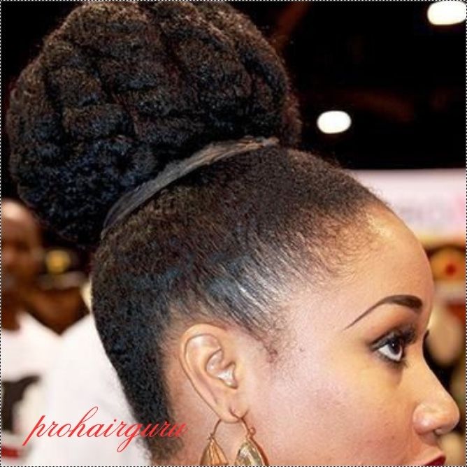 Natural Hair Updos Black Beauty