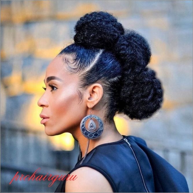 Natural Hair Updos Black Beauty