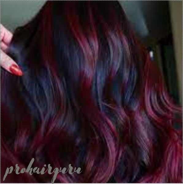 Burgundy Hair Shades 2024