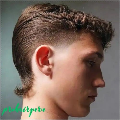 Mullet Hairstyles 2024