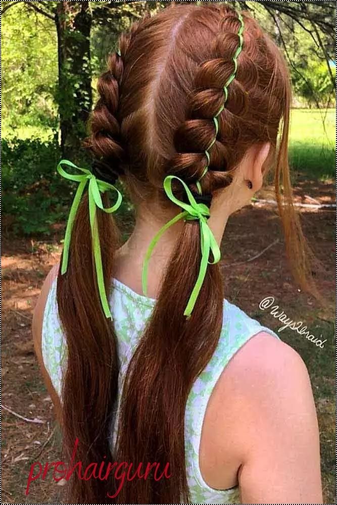 Pigtails Hairstyles 2024