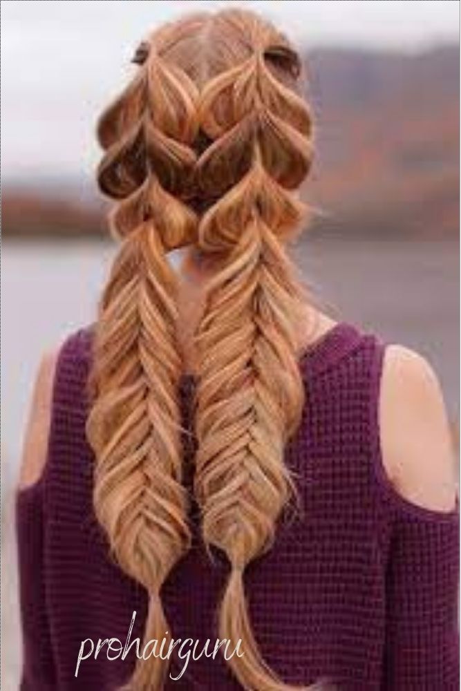 Pigtails Hairstyles 2024