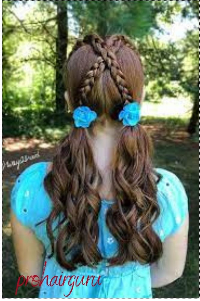 Pigtails Hairstyles 2024