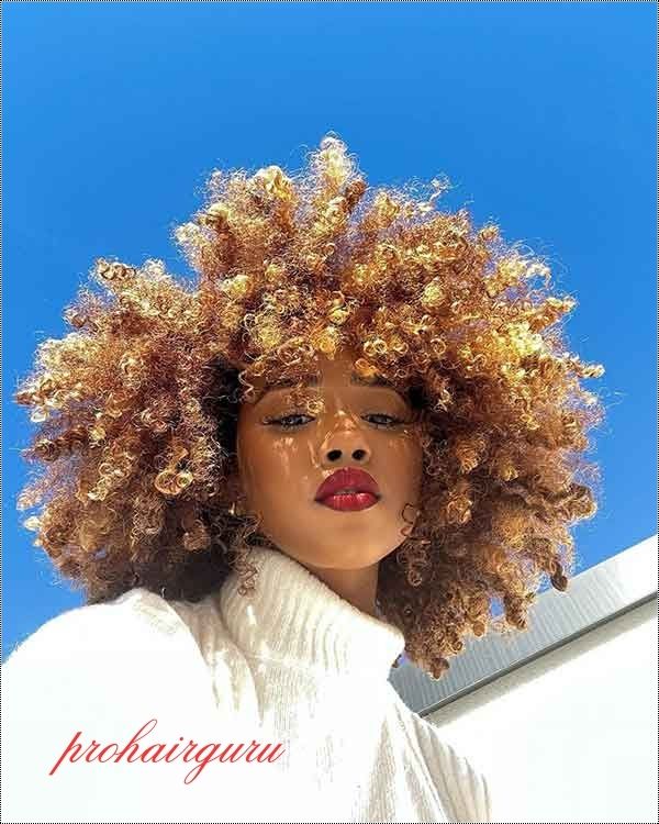 Curly Hairstyles Black Women