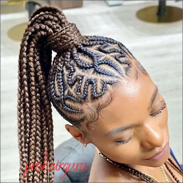 Black Braided Hairstyles